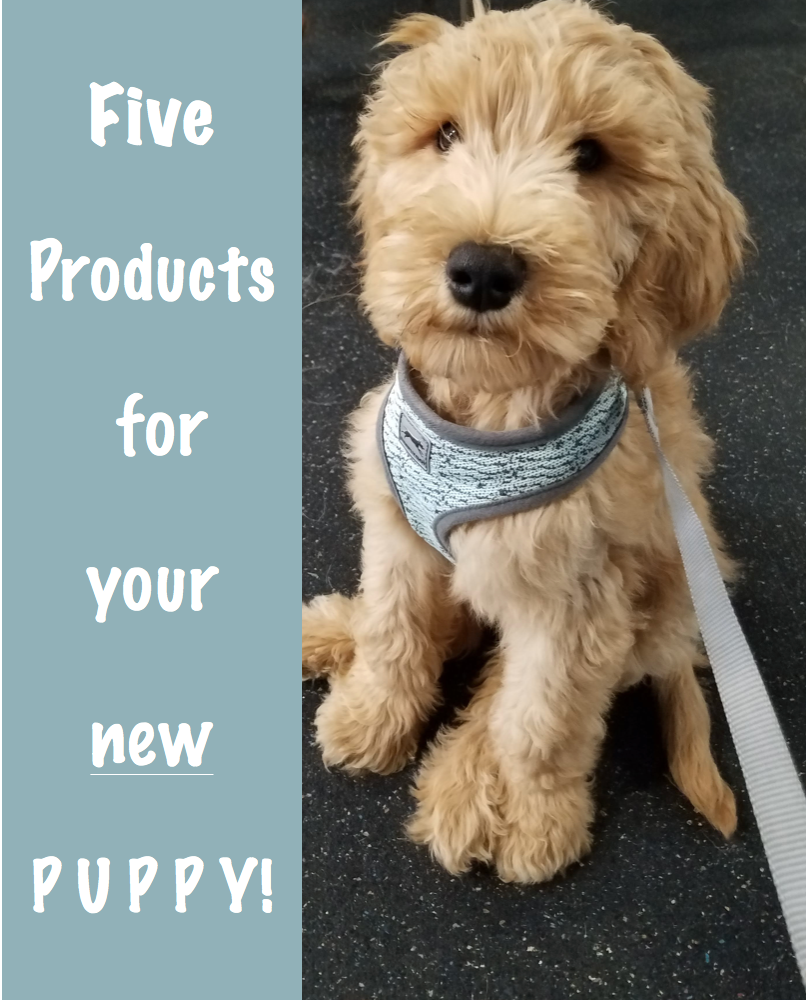 Our Goldendoodle  Must Have Puppy Products